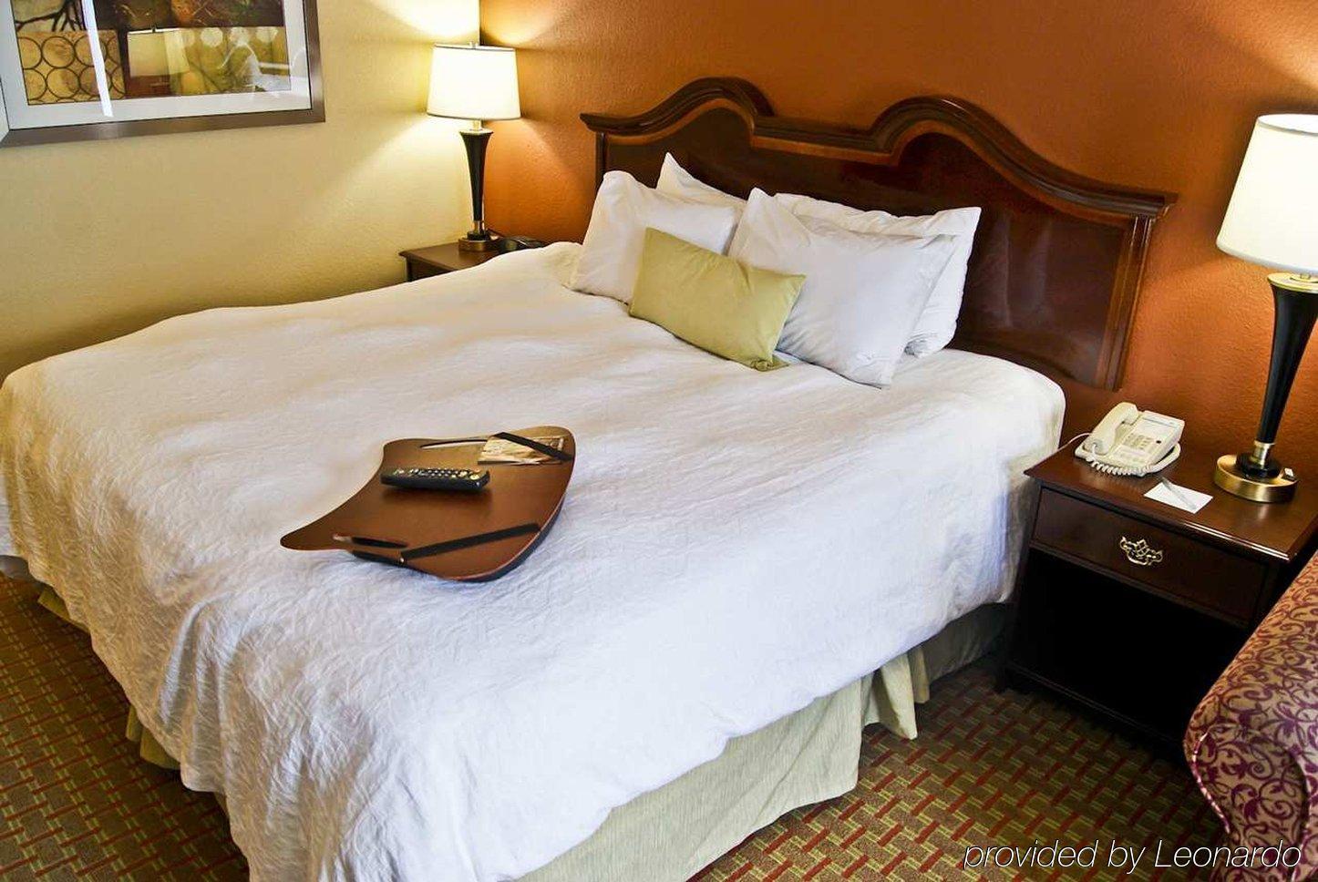 Hampton Inn Helen Rom bilde